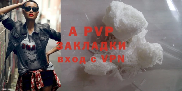 индика Баксан