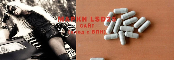 индика Баксан