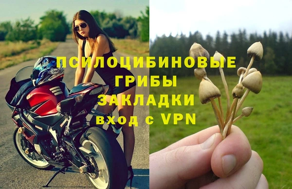 индика Баксан