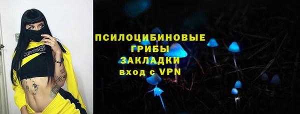 индика Баксан