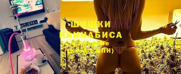 индика Баксан