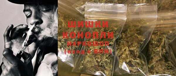 индика Баксан