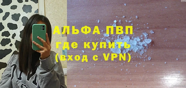 индика Баксан