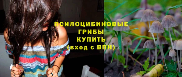 дмт Балахна