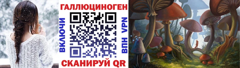 Псилоцибиновые грибы ЛСД  Котельниково 